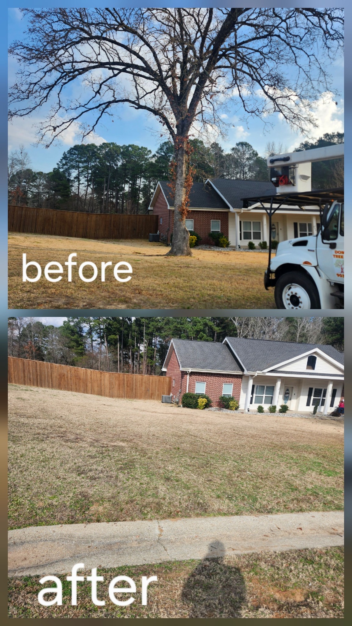 Emergency Tree Service
