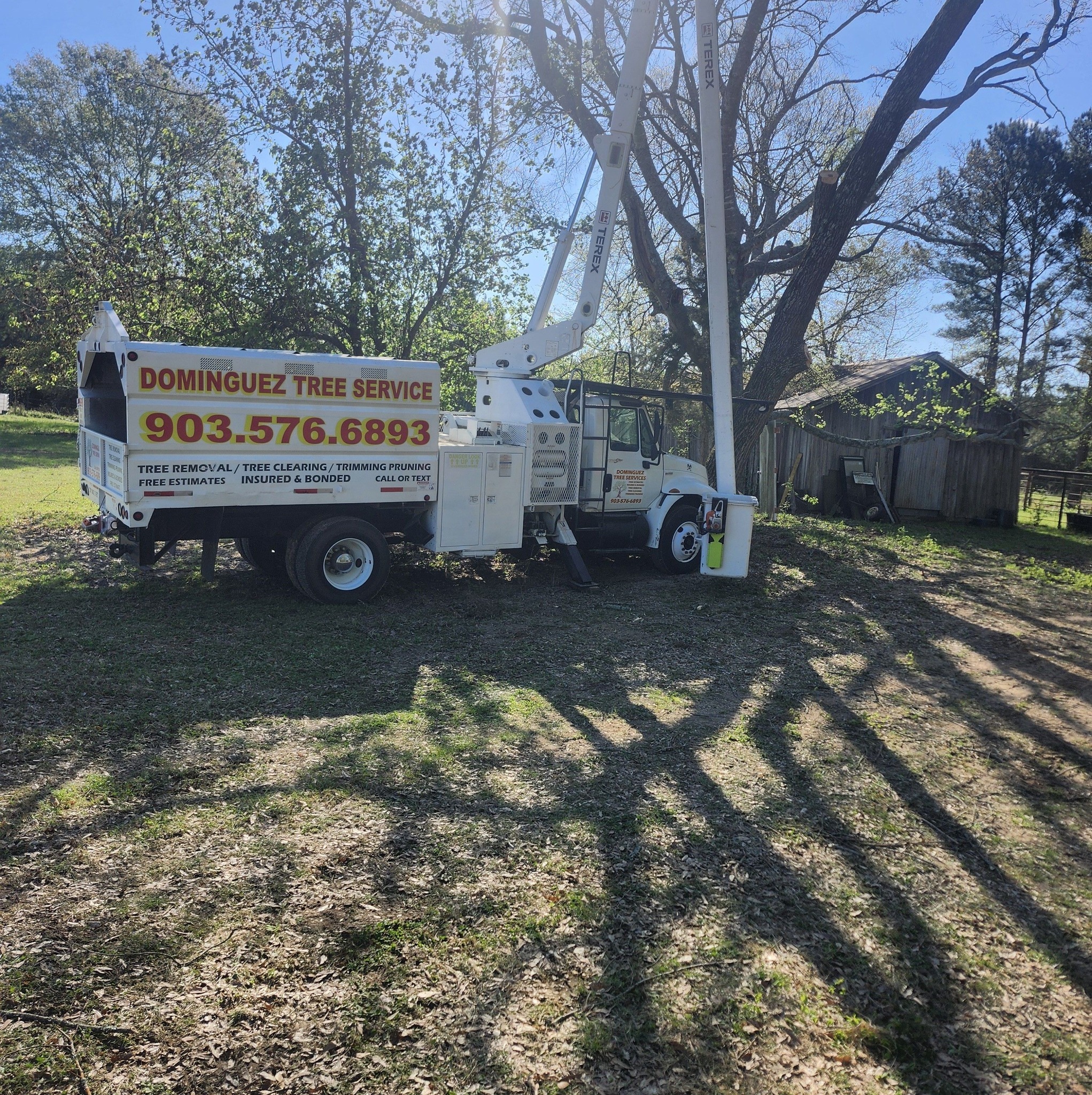 Tree Trimming & Pruning