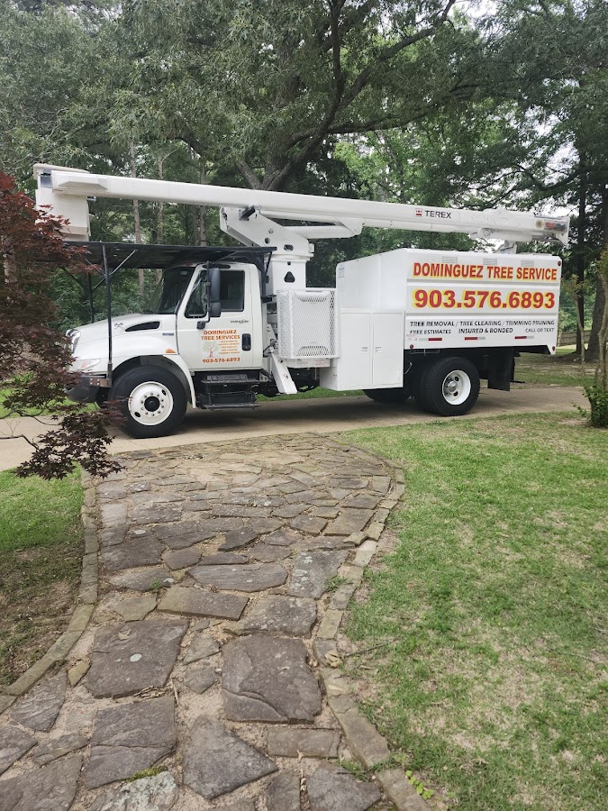 Dominguez Tree Service professional with work truck in East Texas